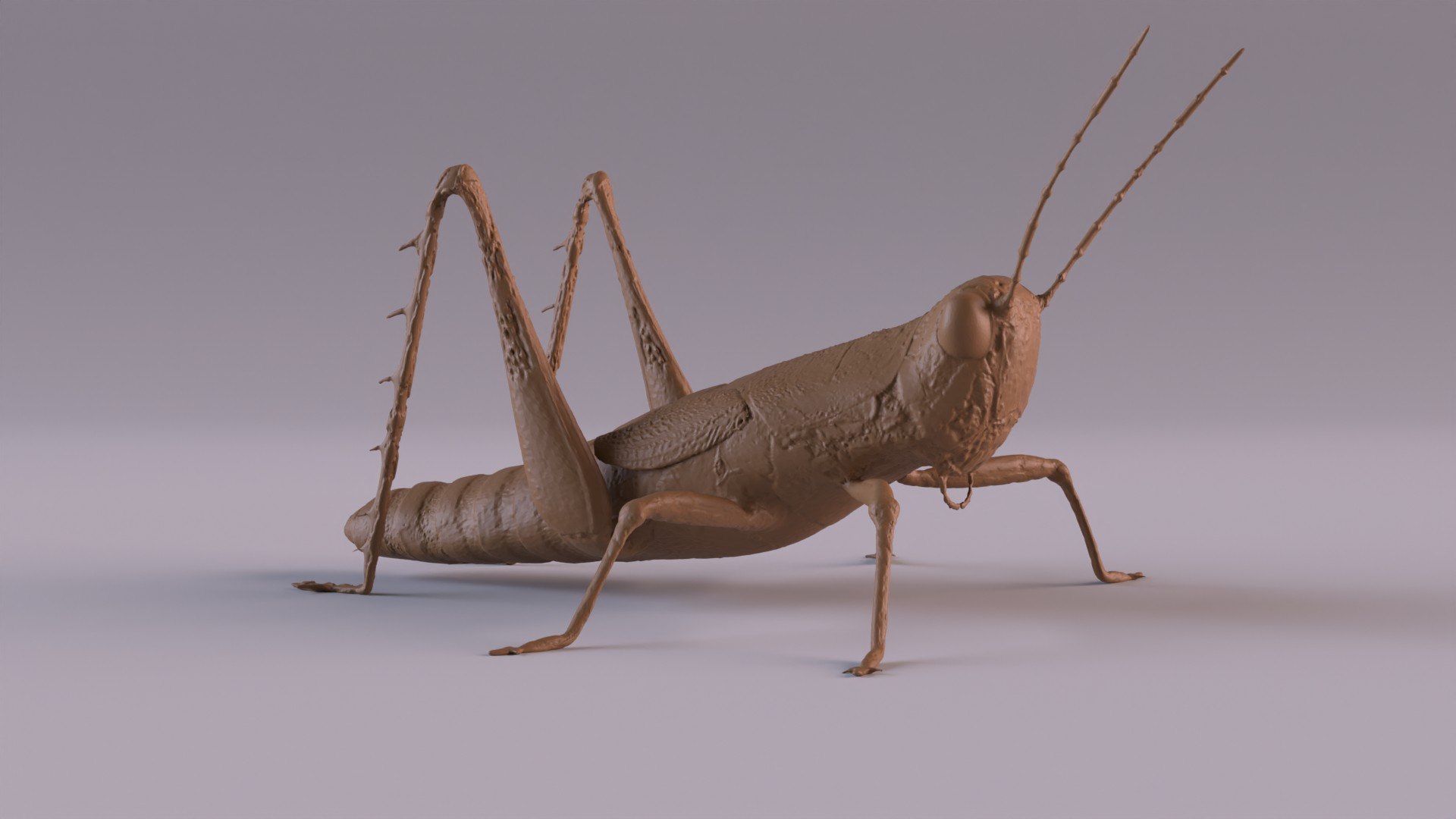 Insects printable 3D model https://p.turbosquid.com/ts-thumb/xL/O9FAlG/3J/grasshpr_0001/jpg/1748793050/1920x1080/fit_q87/6d8ef497d2ee4816c33f4ab654f65f4e1dc81750/grasshpr_0001.jpg