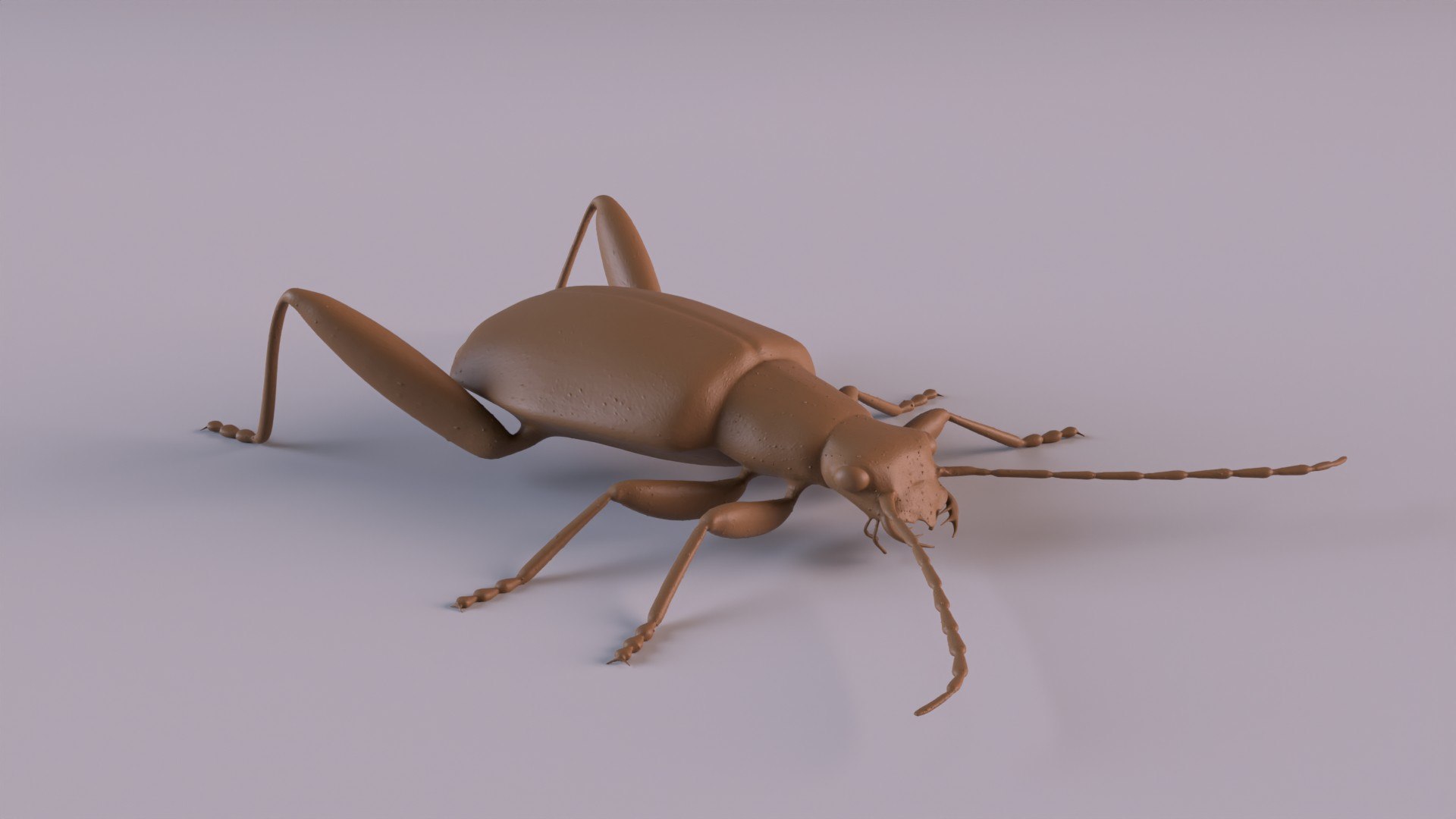 Insects printable 3D model https://p.turbosquid.com/ts-thumb/xL/O9FAlG/dQ/lbeetle_0001/jpg/1748793051/1920x1080/fit_q87/2e18833d9ef9921c99ee3e1036a5b287bd331a9e/lbeetle_0001.jpg