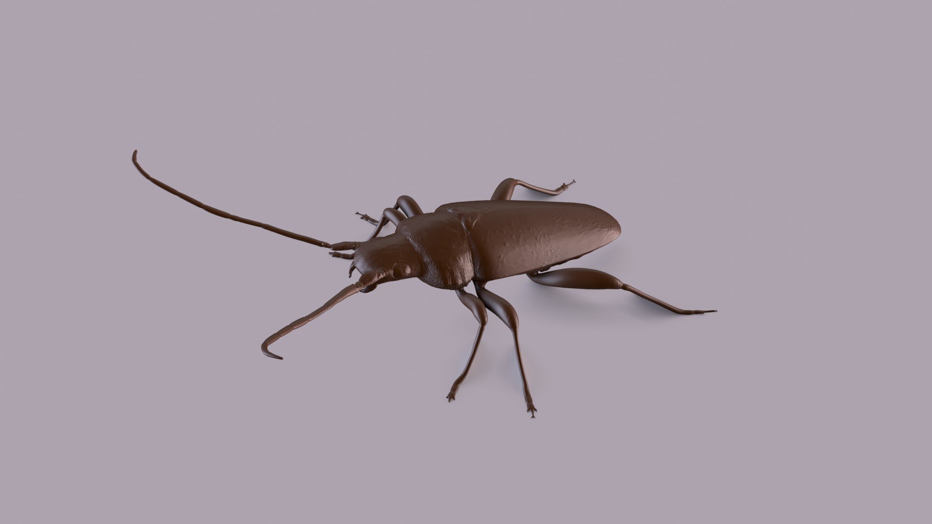 Insects printable 3D model https://p.turbosquid.com/ts-thumb/xL/O9FAlG/fJ/longhornp_0012/jpg/1748793052/1920x1080/fit_q87/748014ff91269f7aa1ece937427c139ebe42c7bf/longhornp_0012.jpg