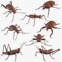 Insects printable
