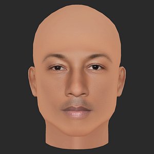 Low Poly Pharrell Williams Head model
