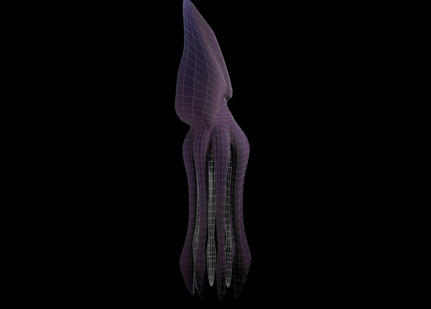 3D giant squid https://p.turbosquid.com/ts-thumb/xL/SFHSpn/VZ9YLrht/squid_ttwireframe_0009/png/1586863605/1920x1080/fit_q87/1c182309f3b10d5bf3844328acafb2d8cd438188/squid_ttwireframe_0009.jpg