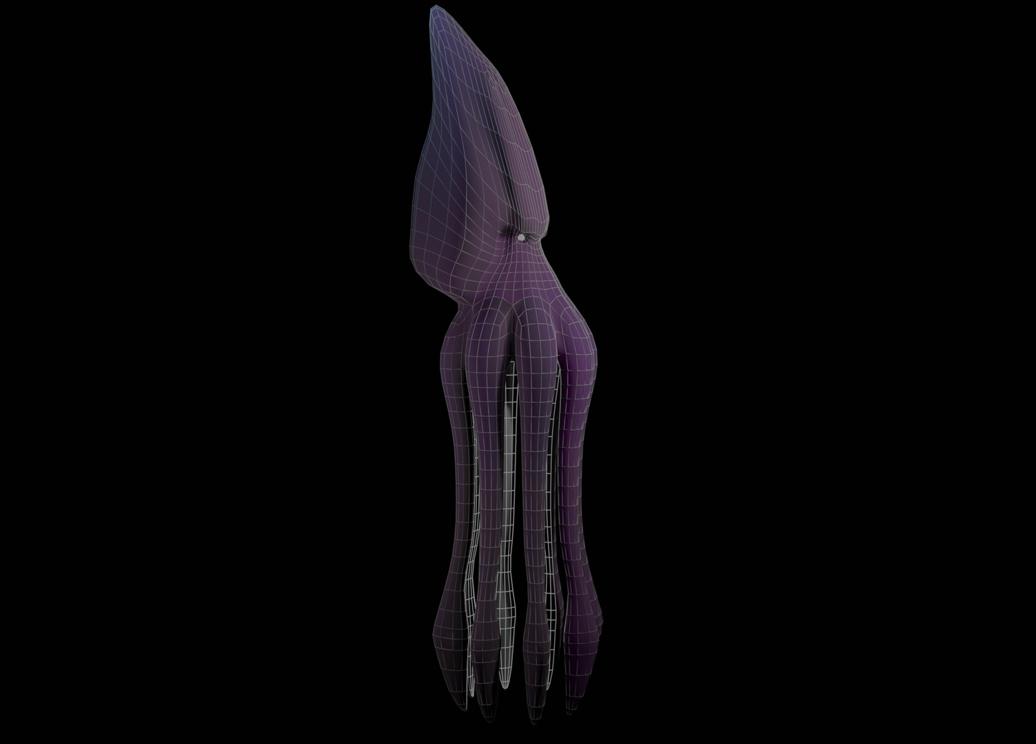 3D giant squid https://p.turbosquid.com/ts-thumb/xL/SFHSpn/goSmBHBr/squid_ttwireframe_0006/png/1586863605/1920x1080/fit_q87/bbc0d82366f2128b40a1d5b6d0f4b11dfc8b4b3d/squid_ttwireframe_0006.jpg