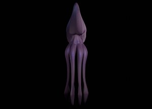 3D giant squid