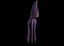 LowPoly Giant Squid