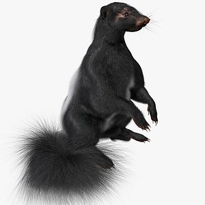 skunk pose 4 fur max