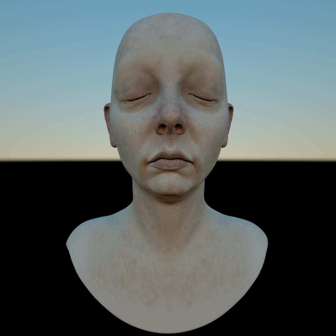 3D model female head pack mia https://p.turbosquid.com/ts-thumb/xL/eq6qov/2N20YR5E/01/jpg/1507906990/1920x1080/turn_fit_q99/dbf13607a7b4954b2da947be934a0f1c6887cb5b/01-1.jpg