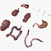 Blood Gore Internal Organs Low Poly
