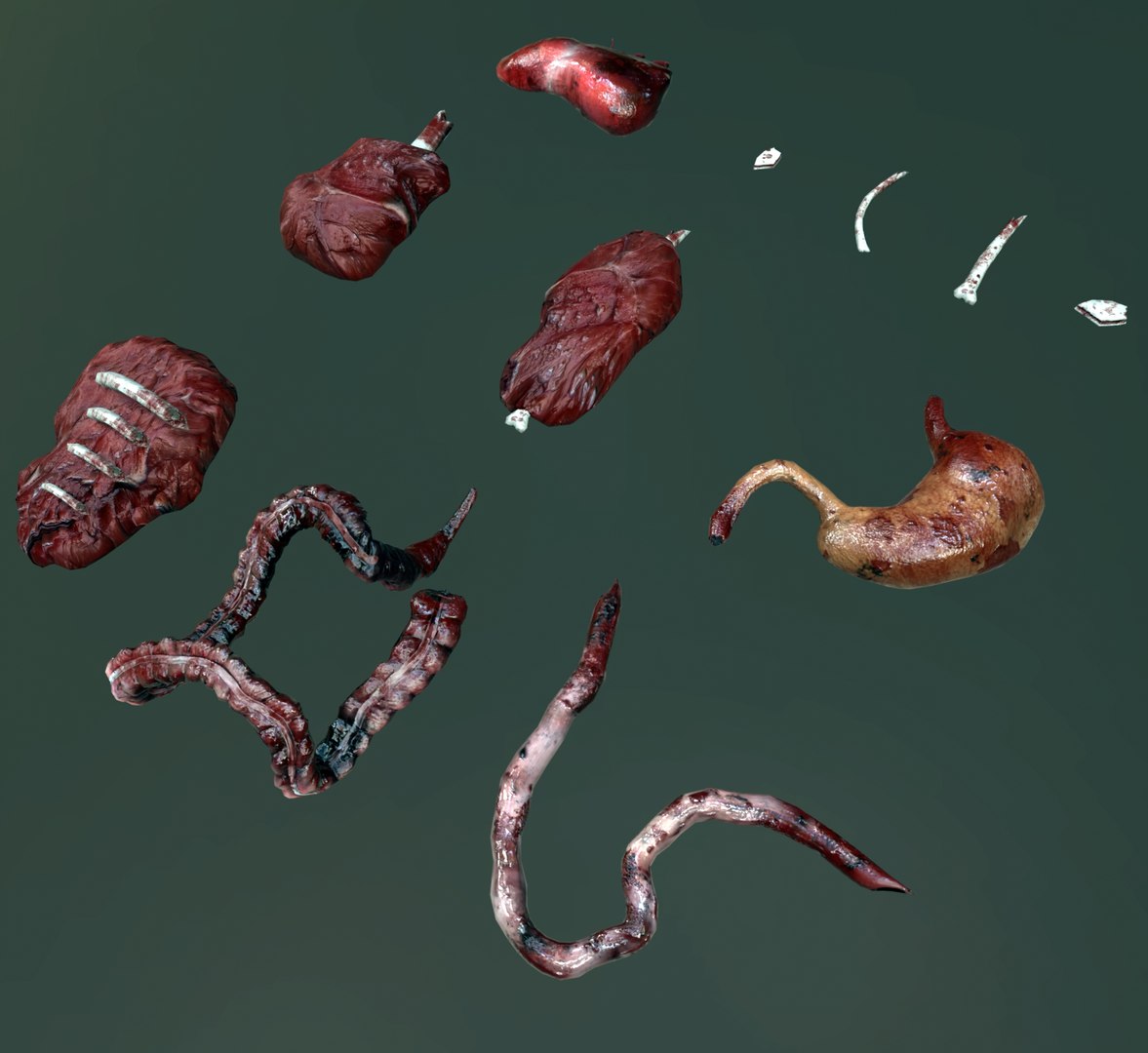 Blood Gore Internal Organs Low Poly 3D Model - TurboSquid 1832294