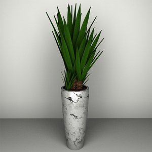 long leaf plant vase 3D model