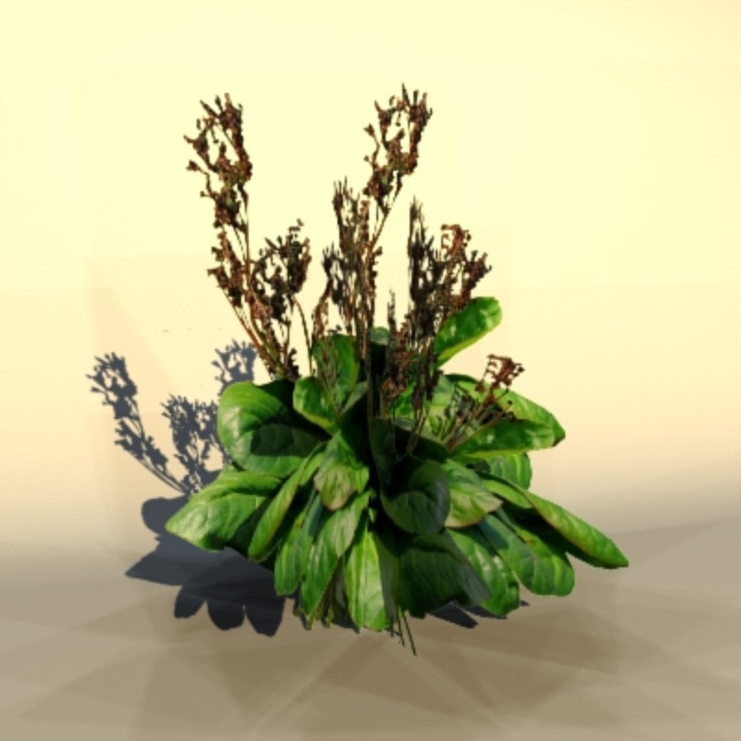 3dsmax pc ps2