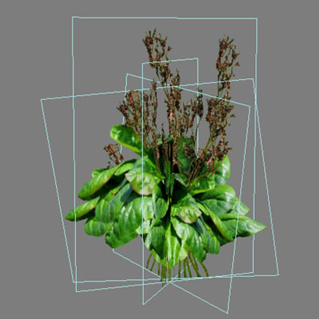 3dsmax pc ps2