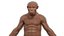 Australopithecus Afarensis Male