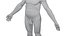 Australopithecus Afarensis Male