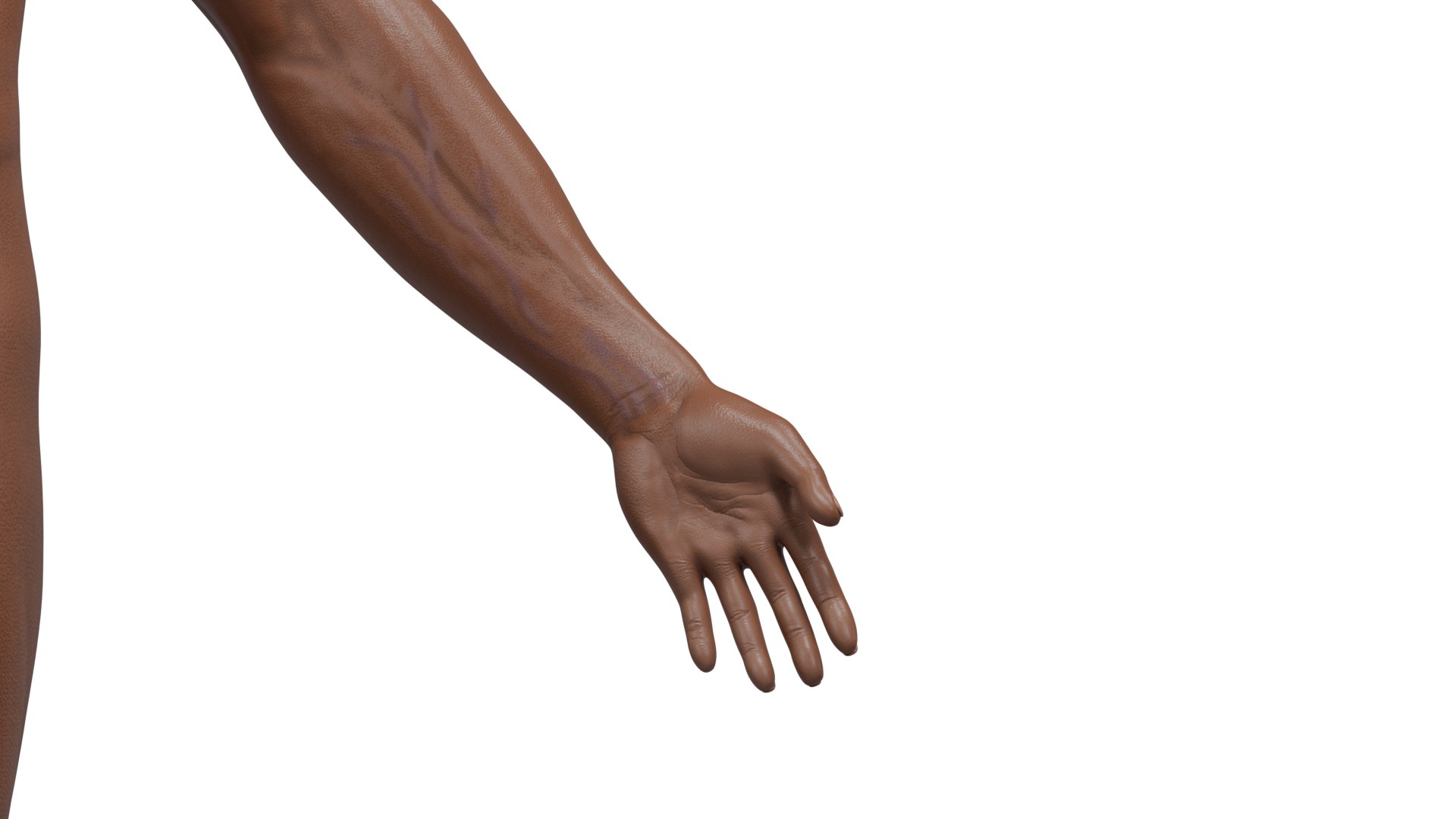 3D Australopithecus afarensis model https://p.turbosquid.com/ts-thumb/xL/p0Xu8Y/6r/11/png/1775907645/1920x1080/fit_q87/65c9ca6ba19259831037b298860a32ccf0cc7db4/11.jpg