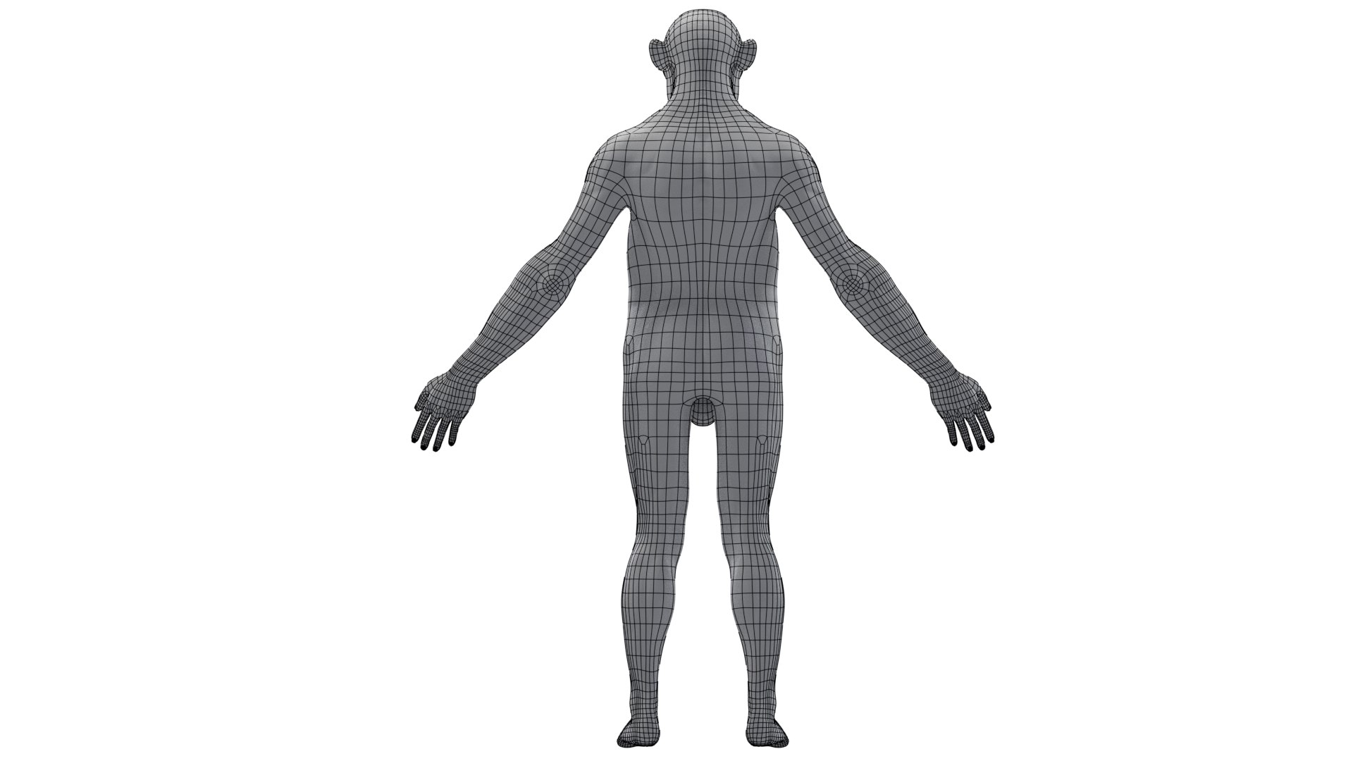 3D Australopithecus afarensis model https://p.turbosquid.com/ts-thumb/xL/p0Xu8Y/9Q/wire_back/png/1775907620/1920x1080/fit_q87/4ebb92fec761279601abe184dcf17080782db72e/wire_back.jpg