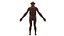 Australopithecus Afarensis Male