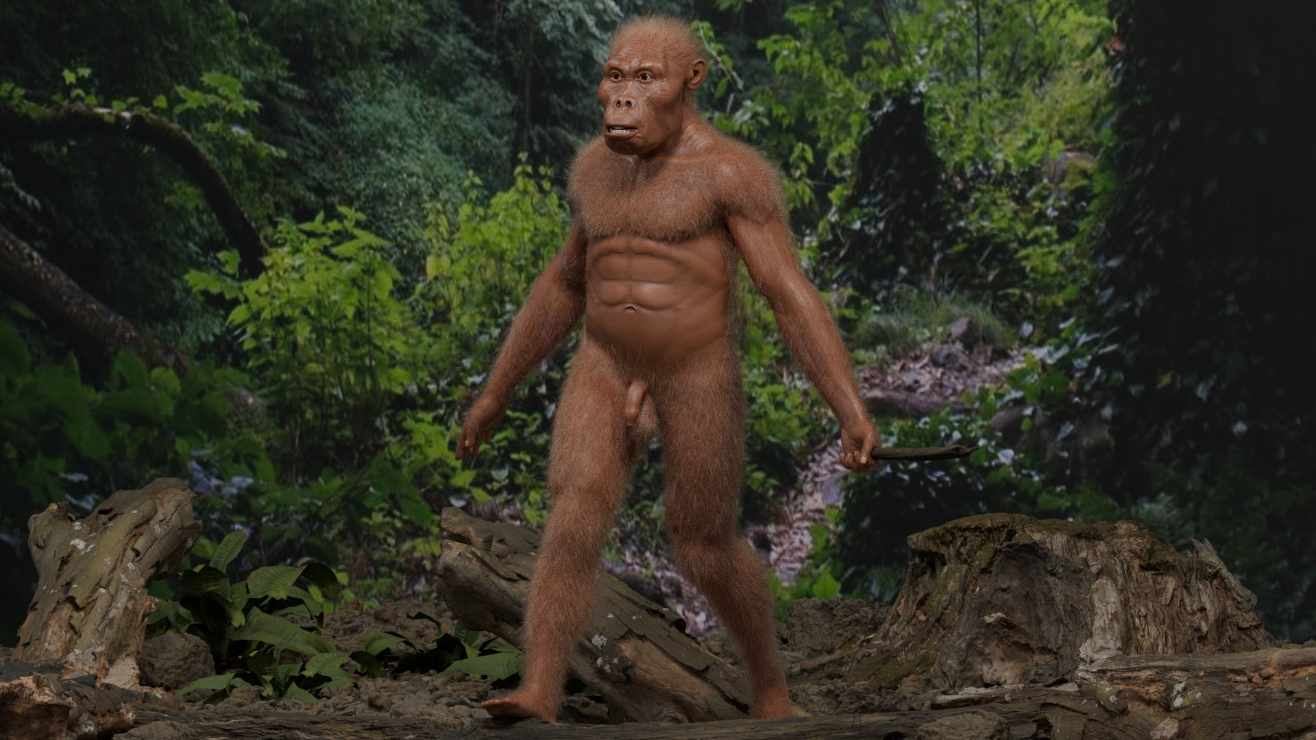 3D Australopithecus afarensis model https://p.turbosquid.com/ts-thumb/xL/p0Xu8Y/E7/untitled/png/1775907652/1920x1080/fit_q87/7c69949d2a77d88bf036dd767a5879b20d105e01/untitled.jpg
