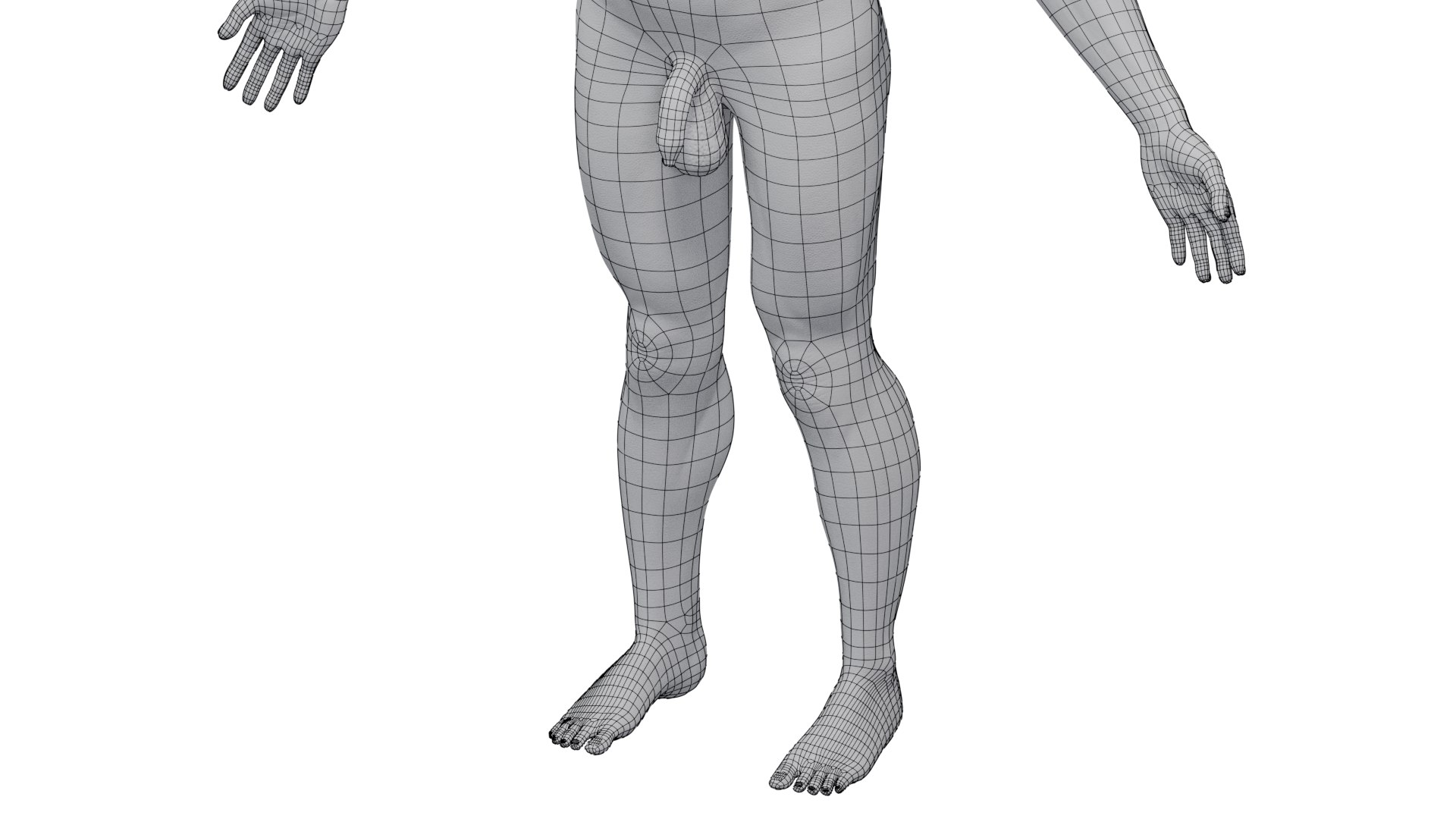3D Australopithecus afarensis model https://p.turbosquid.com/ts-thumb/xL/p0Xu8Y/Ft/wire_leg/png/1775907626/1920x1080/fit_q87/8ecca0731c9f570d38468c07ebb496038a7a63d4/wire_leg.jpg