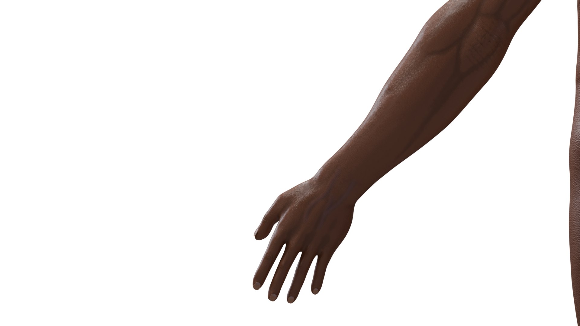 3D Australopithecus afarensis model https://p.turbosquid.com/ts-thumb/xL/p0Xu8Y/KX/12/png/1775907645/1920x1080/fit_q87/6e77660099e09cde08c8d2eeba145390307f70e7/12.jpg