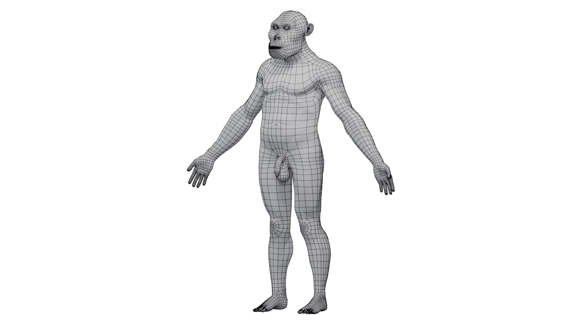 3D Australopithecus afarensis model https://p.turbosquid.com/ts-thumb/xL/p0Xu8Y/Pm/wire/png/1775907618/1920x1080/fit_q87/a562c74f3754afdc3677d020d2d7a2852335b222/wire.jpg