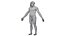 Australopithecus Afarensis Male