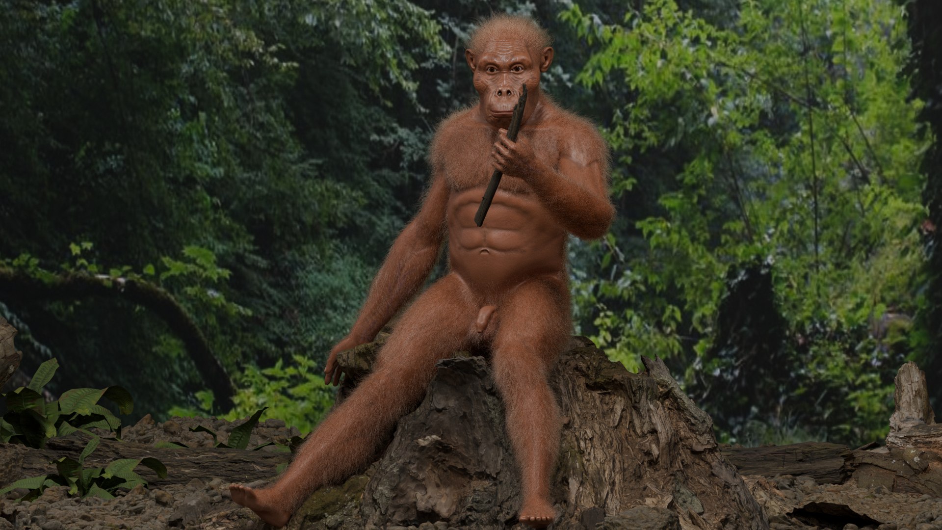 3D Australopithecus afarensis model https://p.turbosquid.com/ts-thumb/xL/p0Xu8Y/Vr/untitled1/png/1775907652/1920x1080/fit_q87/f3a309cbbd2afb6fe1e507b8ebb484a654e86b54/untitled1.jpg