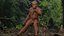 Australopithecus Afarensis Male