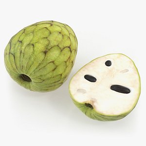 cherimoya fruit half model