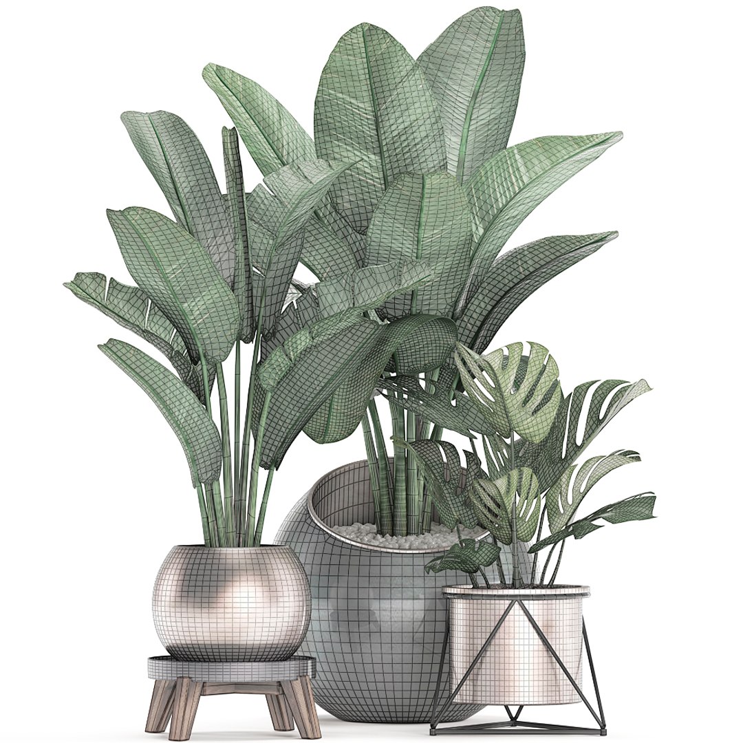 3D exotic plants https://p.turbosquid.com/ts-thumb/xM/Dt68jN/V9P6YplE/plantset2003202008/jpg/1584788439/1920x1080/fit_q87/926fa7e123109d86884b155e98a0493edac1ed99/plantset2003202008.jpg