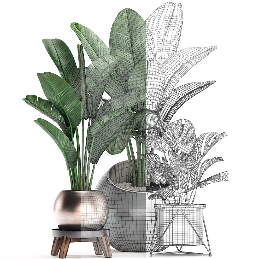 3D exotic plants https://p.turbosquid.com/ts-thumb/xM/Dt68jN/rTCkAKQX/plantset2003202007/jpg/1584788439/1920x1080/fit_q87/4e86dd66005b15f6e7050084995ff5bb1fc4915e/plantset2003202007.jpg