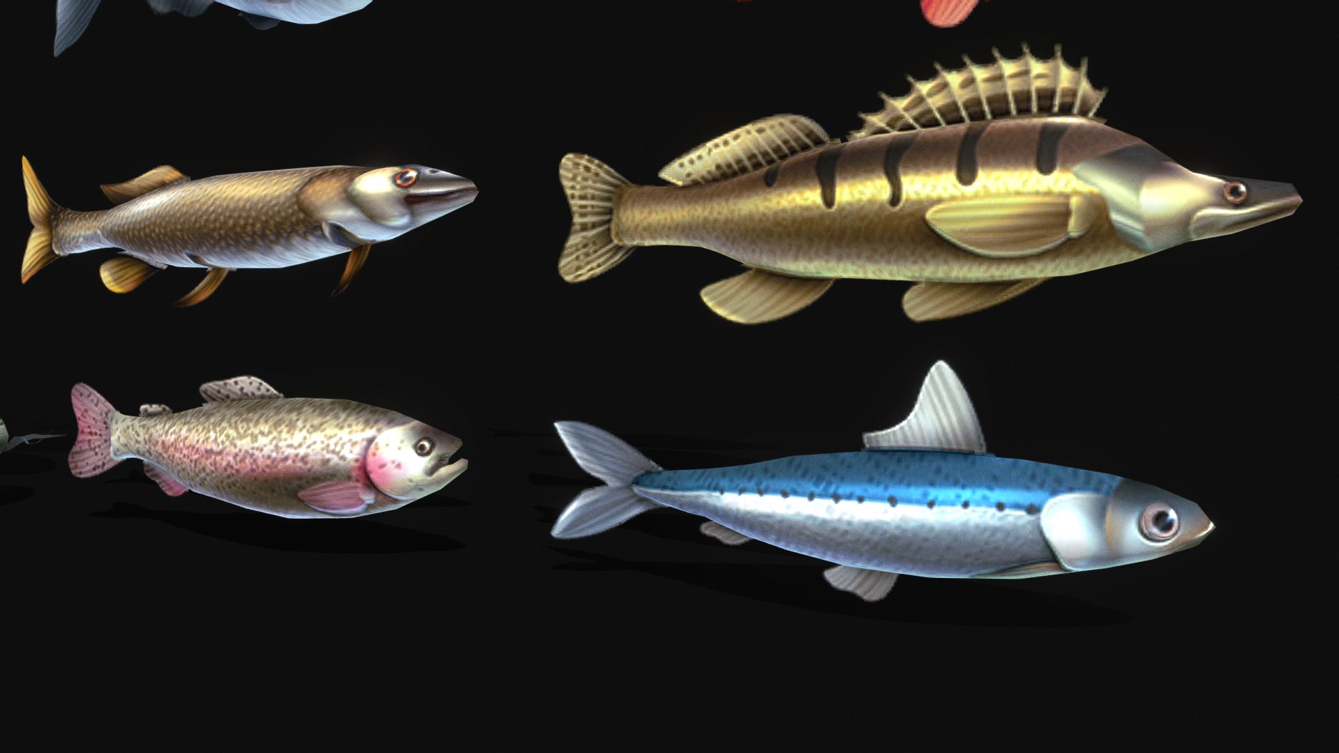 Stylize Fish Pack 3D model https://p.turbosquid.com/ts-thumb/xM/JVWRuA/ut/5/png/1741510586/1920x1080/fit_q87/bac00a17268bb140a39c9038582c59e356b96688/5.jpg