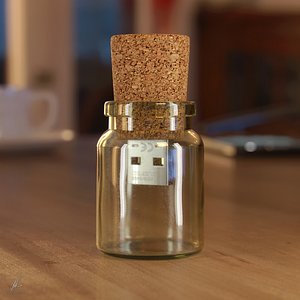3d pendrive bottle model