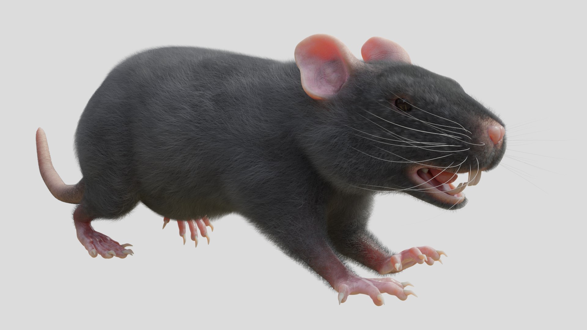 RET FOR VFX CGI 3D Model - TurboSquid 2213421