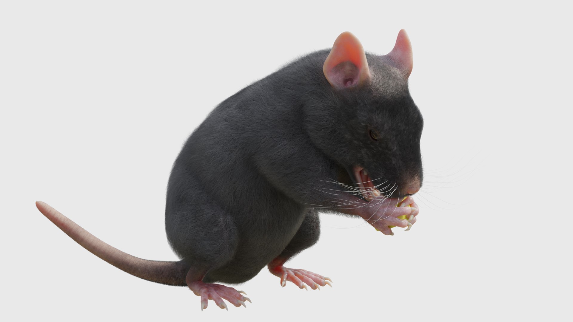 RET FOR VFX CGI 3D Model - TurboSquid 2213421