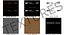 Transparent Old Audio Cassette