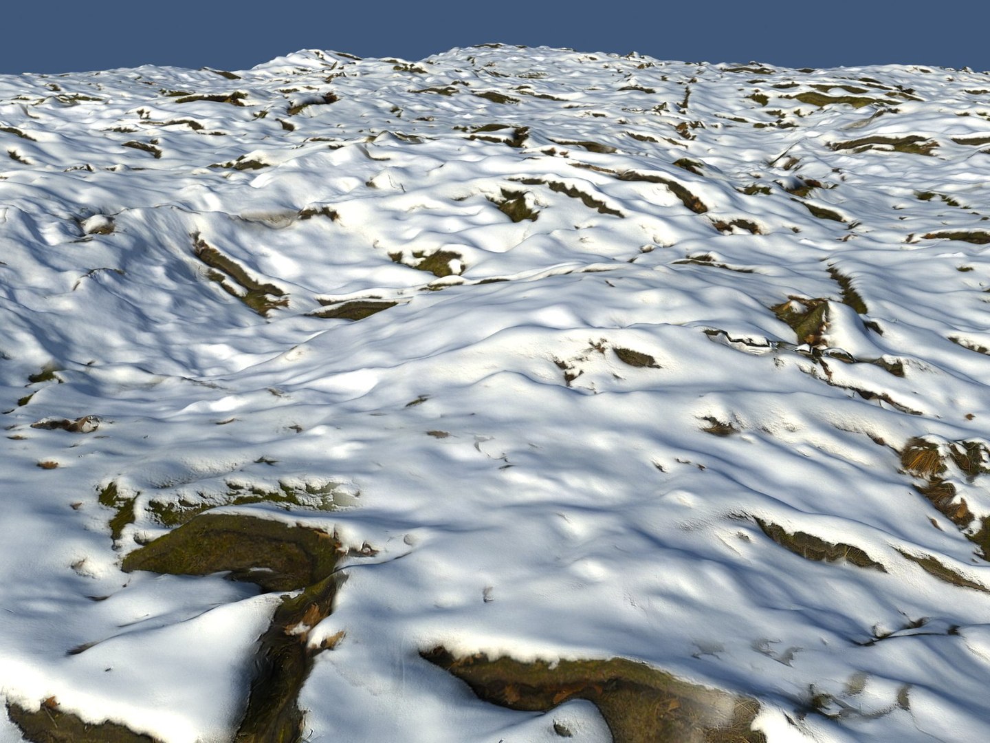 Forest Roots Ground Hd 3D - TurboSquid 1262888
