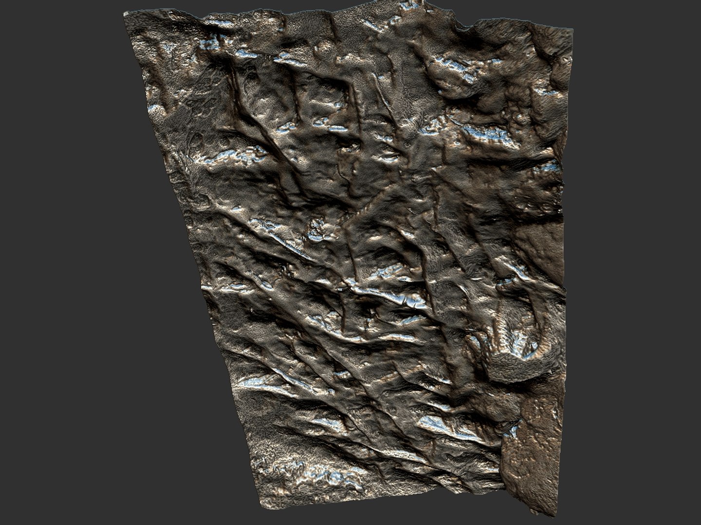 Forest Roots Ground Hd 3D - TurboSquid 1262888
