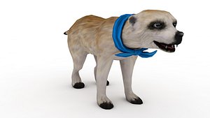 Pet dog