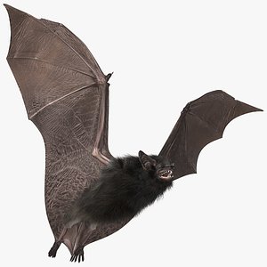 3D Flying Black Bat Fur