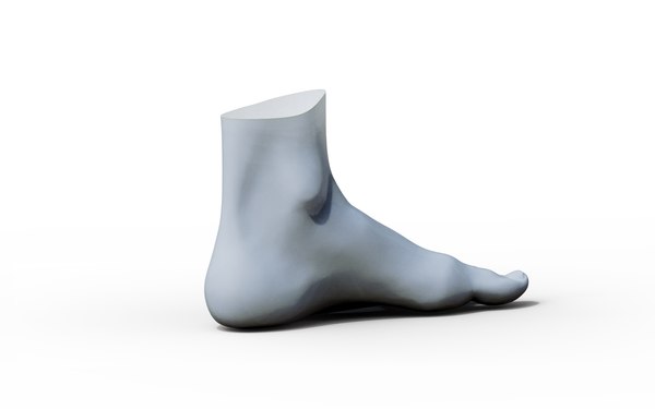 Feet 3D model - TurboSquid 1961027