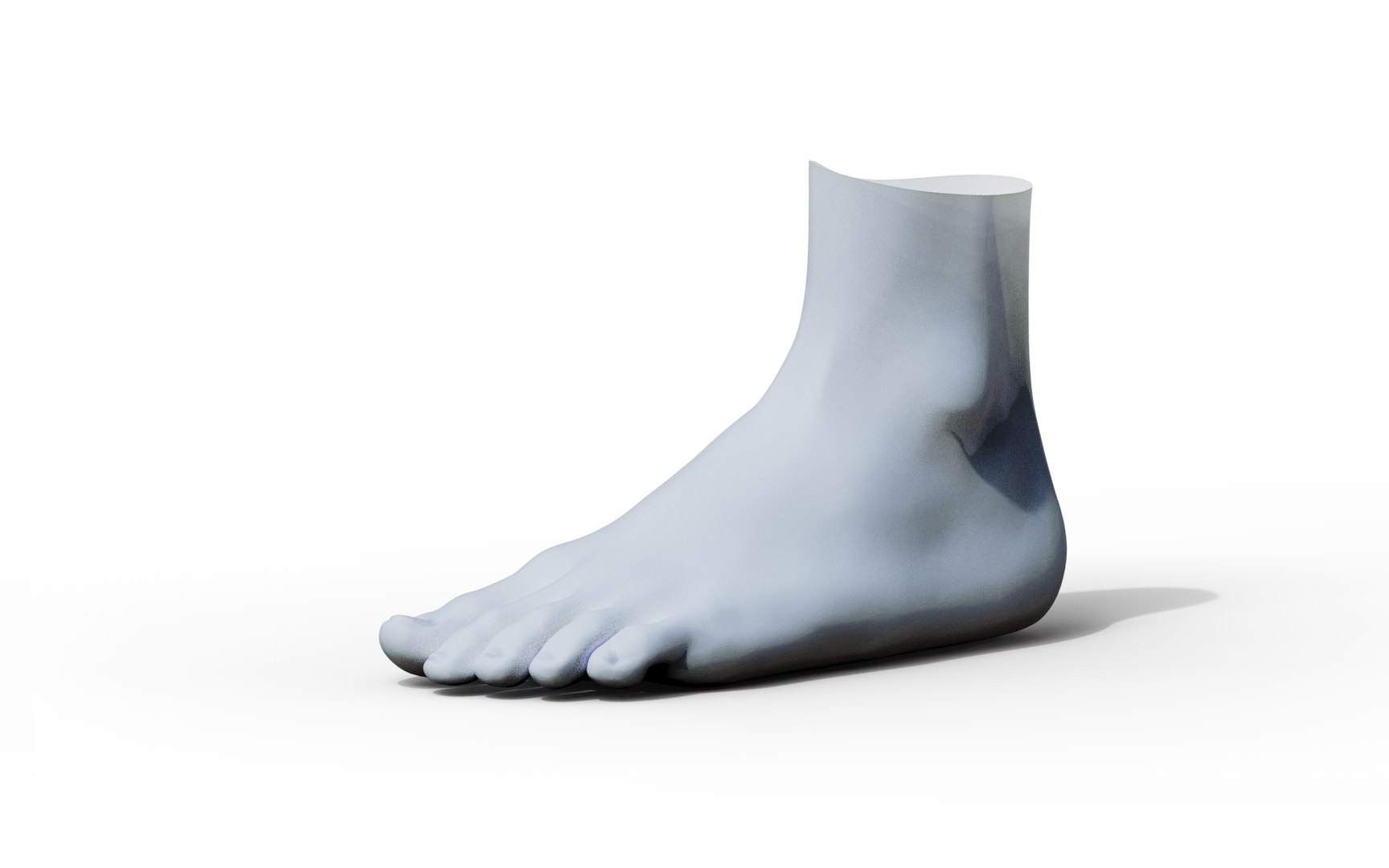 Feet 3d Model - Turbosquid 1961027