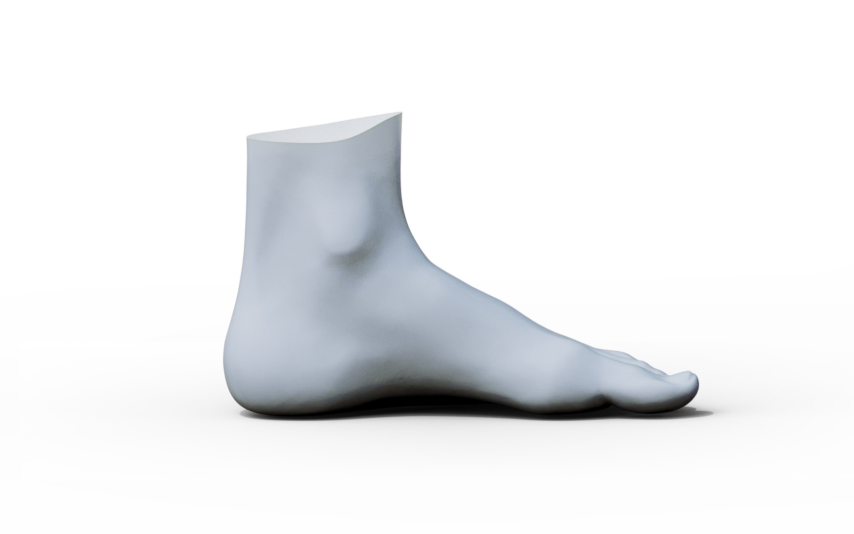 Feet 3D Model - TurboSquid 1961027