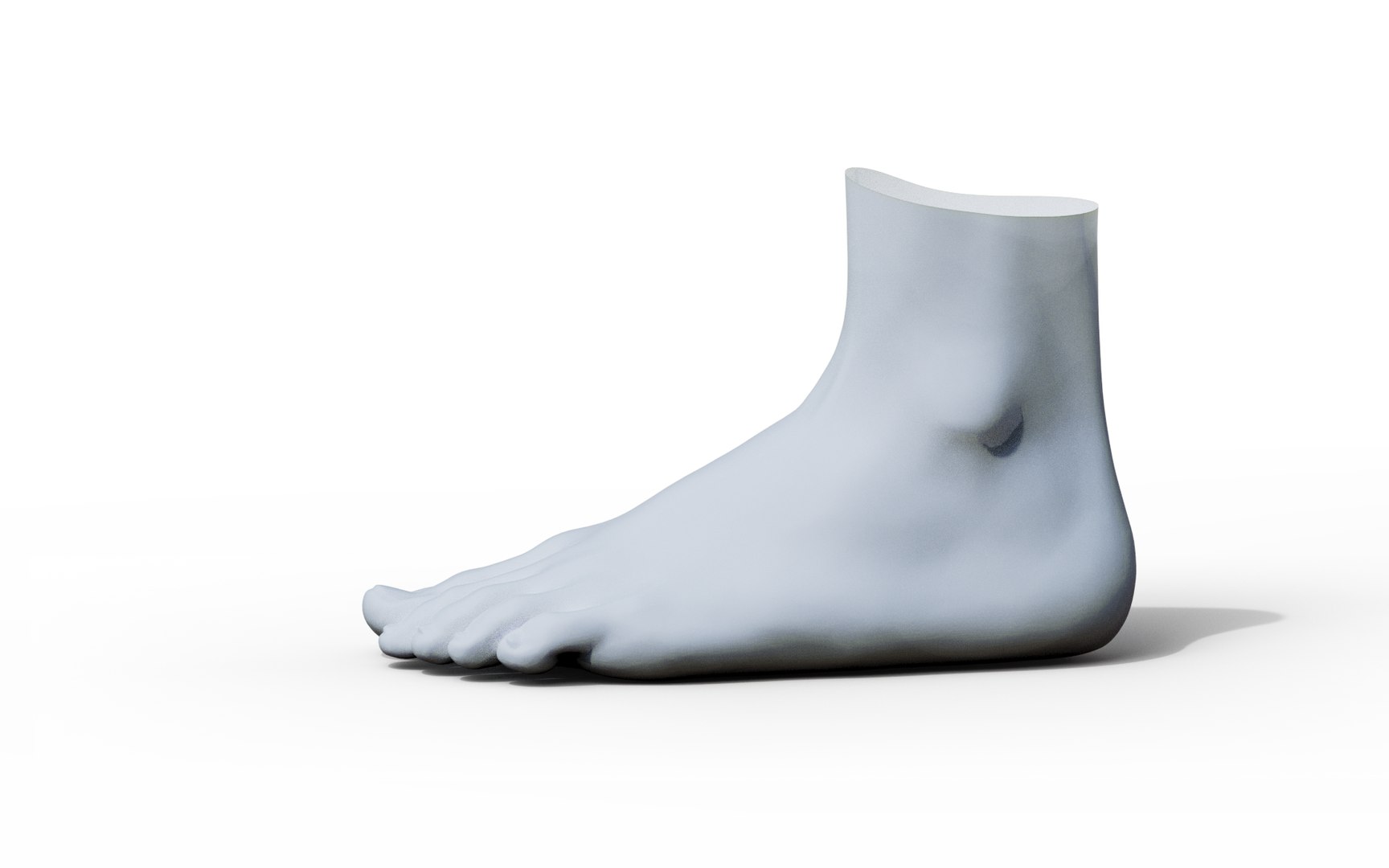 Feet 3D Model - TurboSquid 1961027