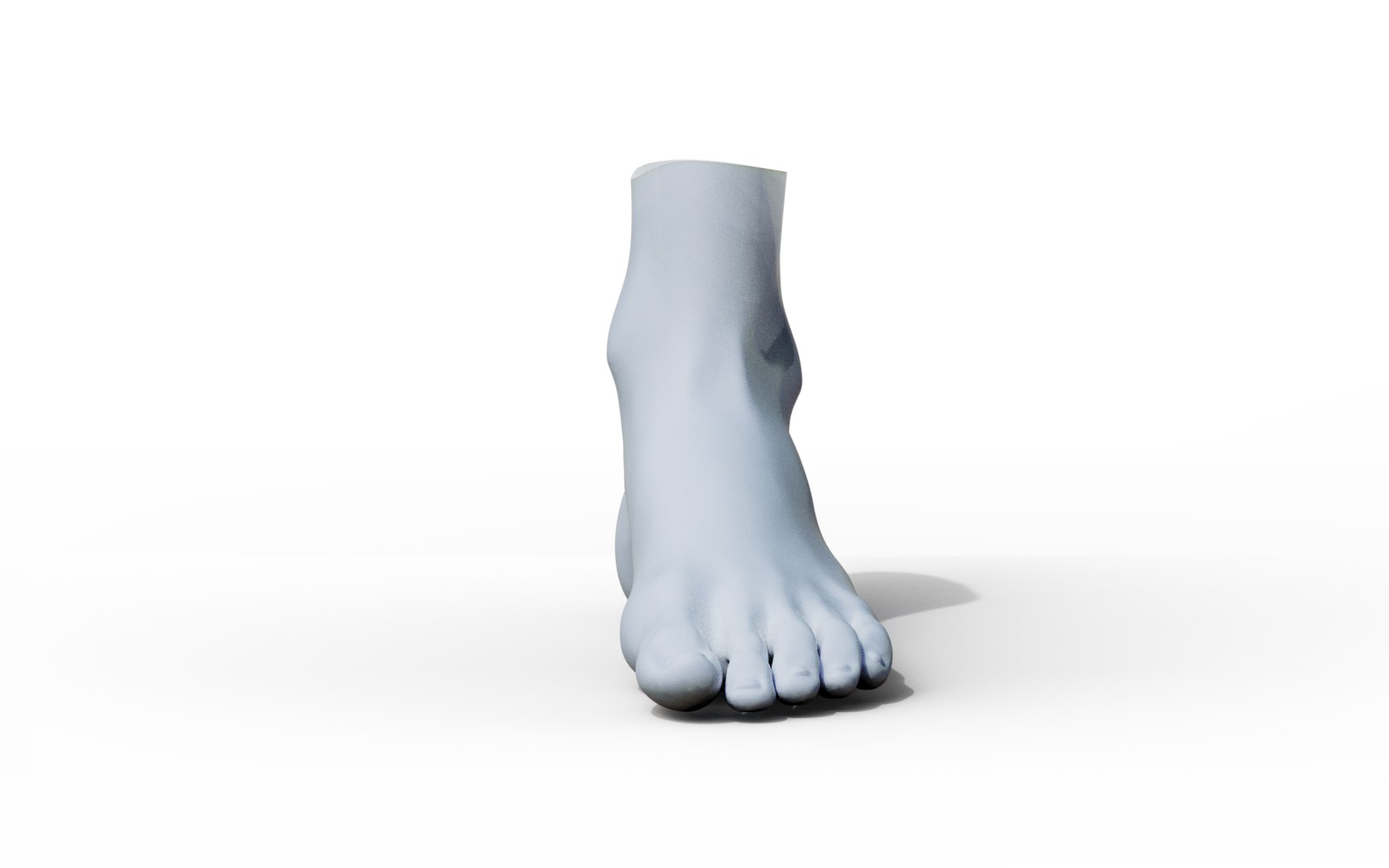 Feet 3D Model - TurboSquid 1961027