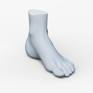 feet