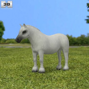 3D pony model