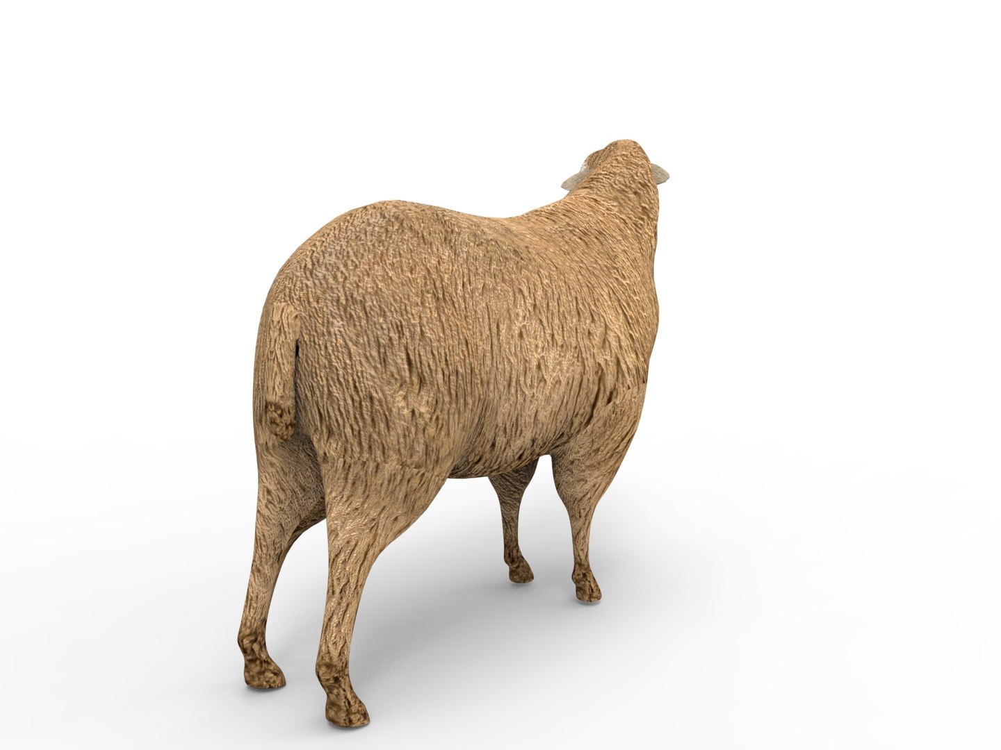 3D black rigged https://p.turbosquid.com/ts-thumb/xM/xHbMSF/1wtId5mJ/untitled.210/jpg/1503390248/1920x1080/fit_q87/e6ee7a289ddfd52bde1c438c94a15343e5190922/untitled.210.jpg