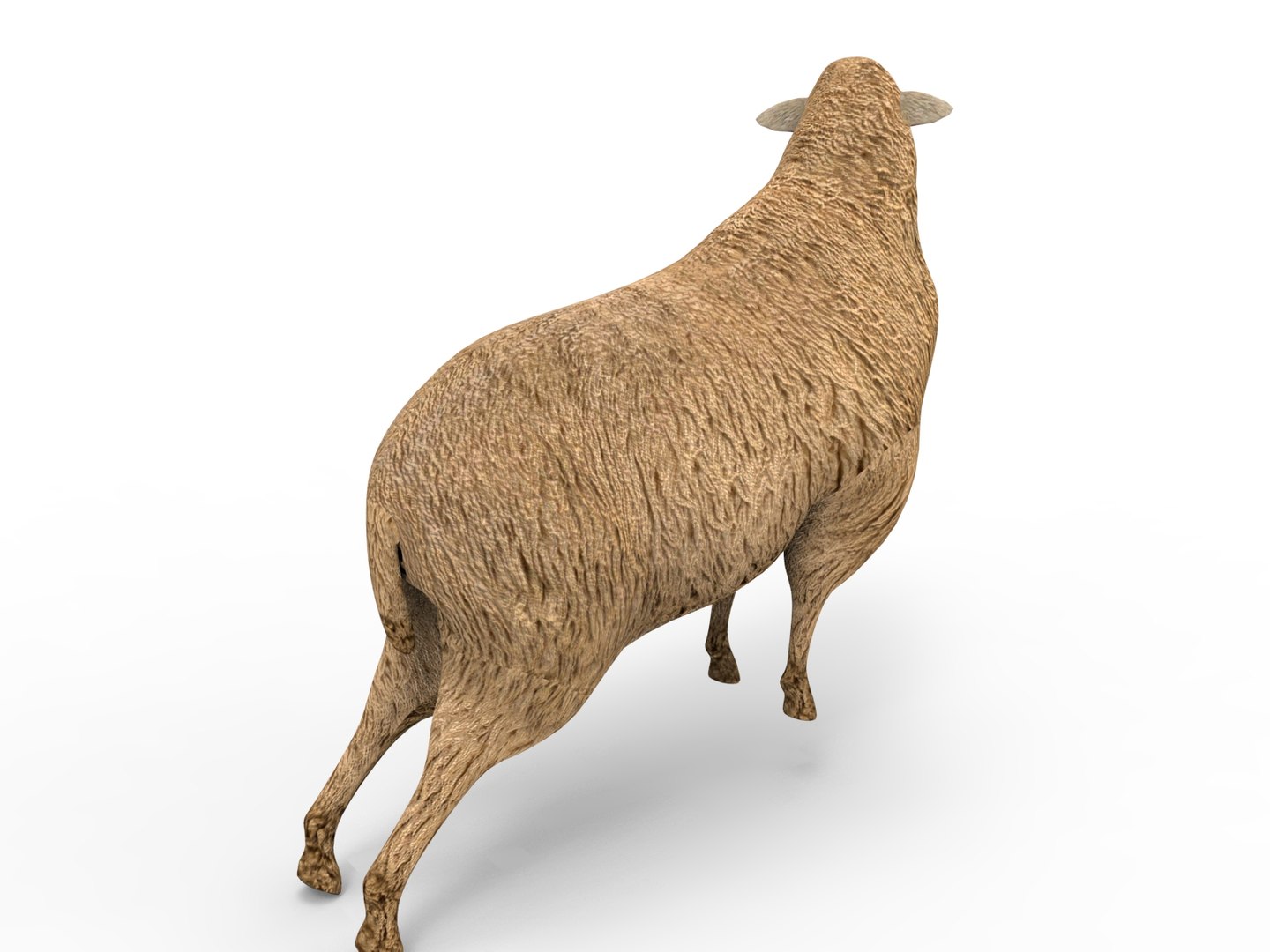 3D black rigged https://p.turbosquid.com/ts-thumb/xM/xHbMSF/DVPd6Zjw/untitled.203/jpg/1503390248/1920x1080/fit_q87/0f2d23025e09329731aa6948cf75b5214dfc3d97/untitled.203.jpg
