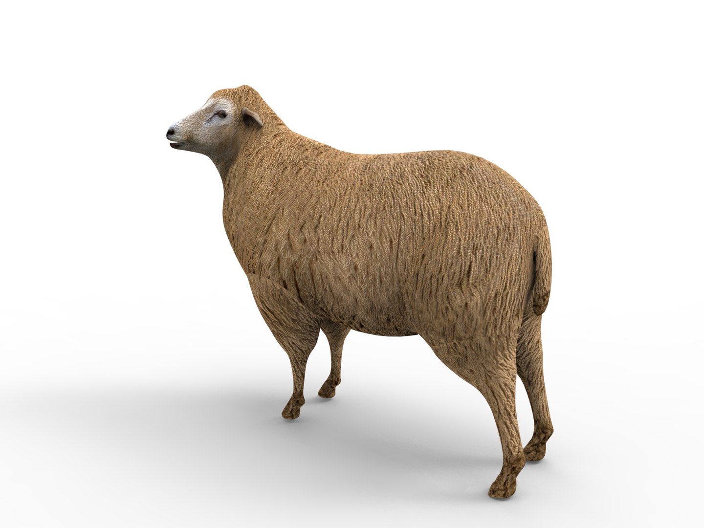 3D black rigged https://p.turbosquid.com/ts-thumb/xM/xHbMSF/IqtzQPgX/untitled.209/jpg/1503390248/1920x1080/fit_q87/52712c212db75a976edf6410c456fdfc952f7af0/untitled.209.jpg